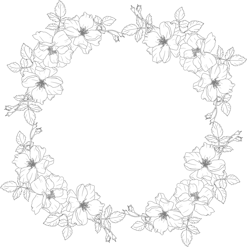 doodle line art rose flower bouquet wreath frame png