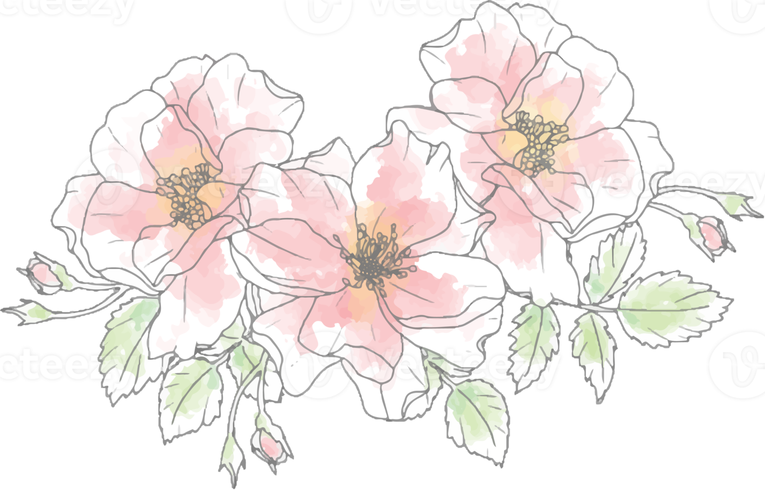 aquarelle lâche doodle dessin au trait éléments de bouquet de fleurs roses png