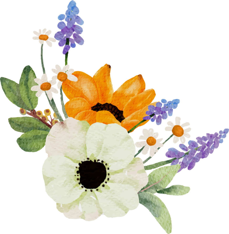elementi del bouquet di fiori di girasole dell'acquerello e anemone bianco png