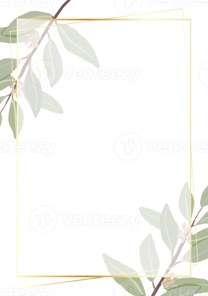 beautiful minimal seeded eucalyptus leaves with golden frame background for birthday or wedding invitation card template png