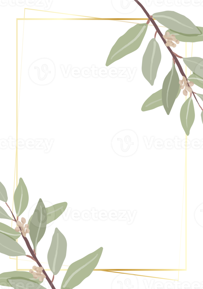 beautiful minimal seeded eucalyptus leaves with golden frame background for birthday or wedding invitation card template png