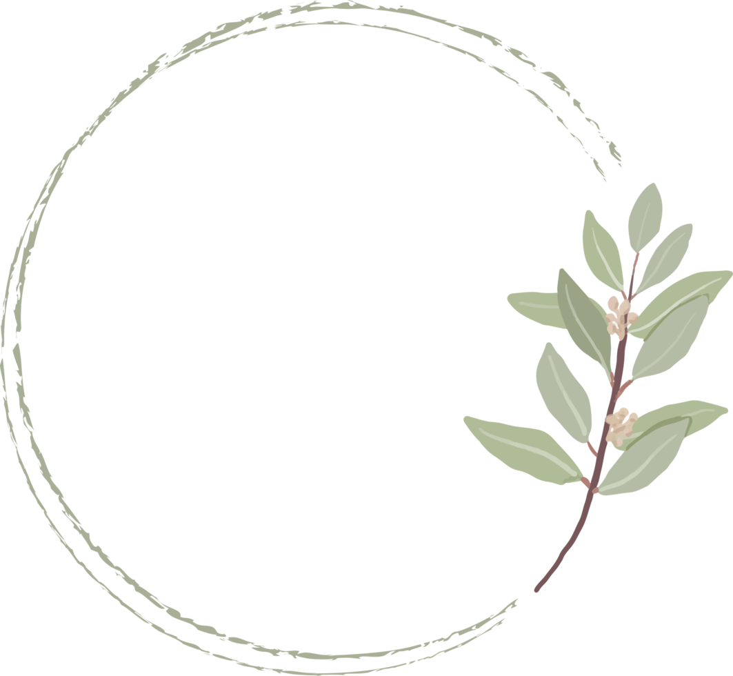 minimal hand drawn eucalyptus wreath frame for wedding invitation or logo png