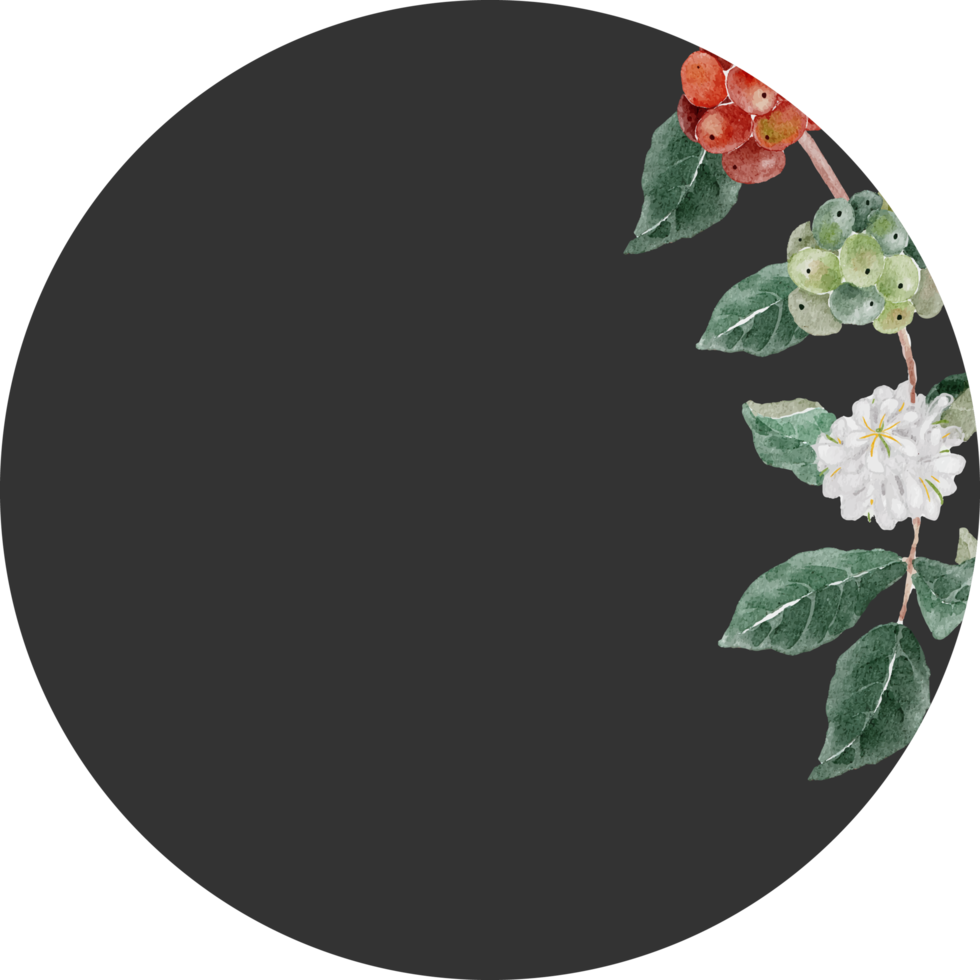 watercolor coffee seed and flower  branch bouquet sticker png
