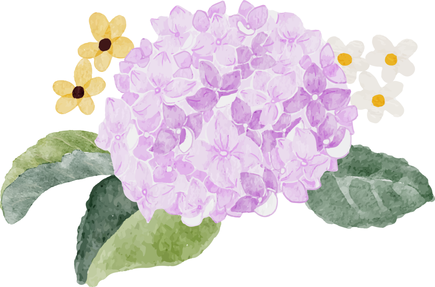 aquarel witte camelia en paarse hortensia bloemboeket png