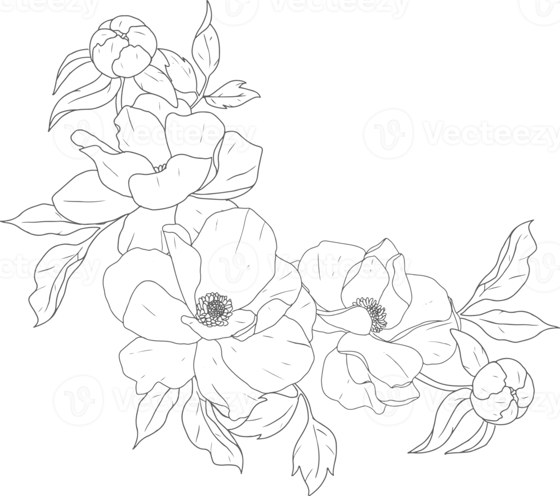 doodle line art peony flower bouquet elements png