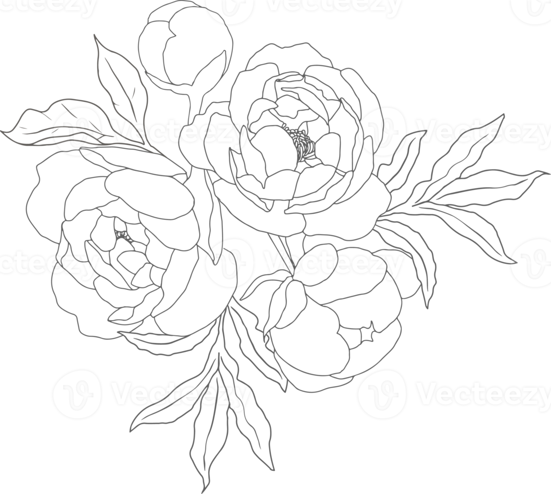 doodle line art peonia fiori bouquet elementi png