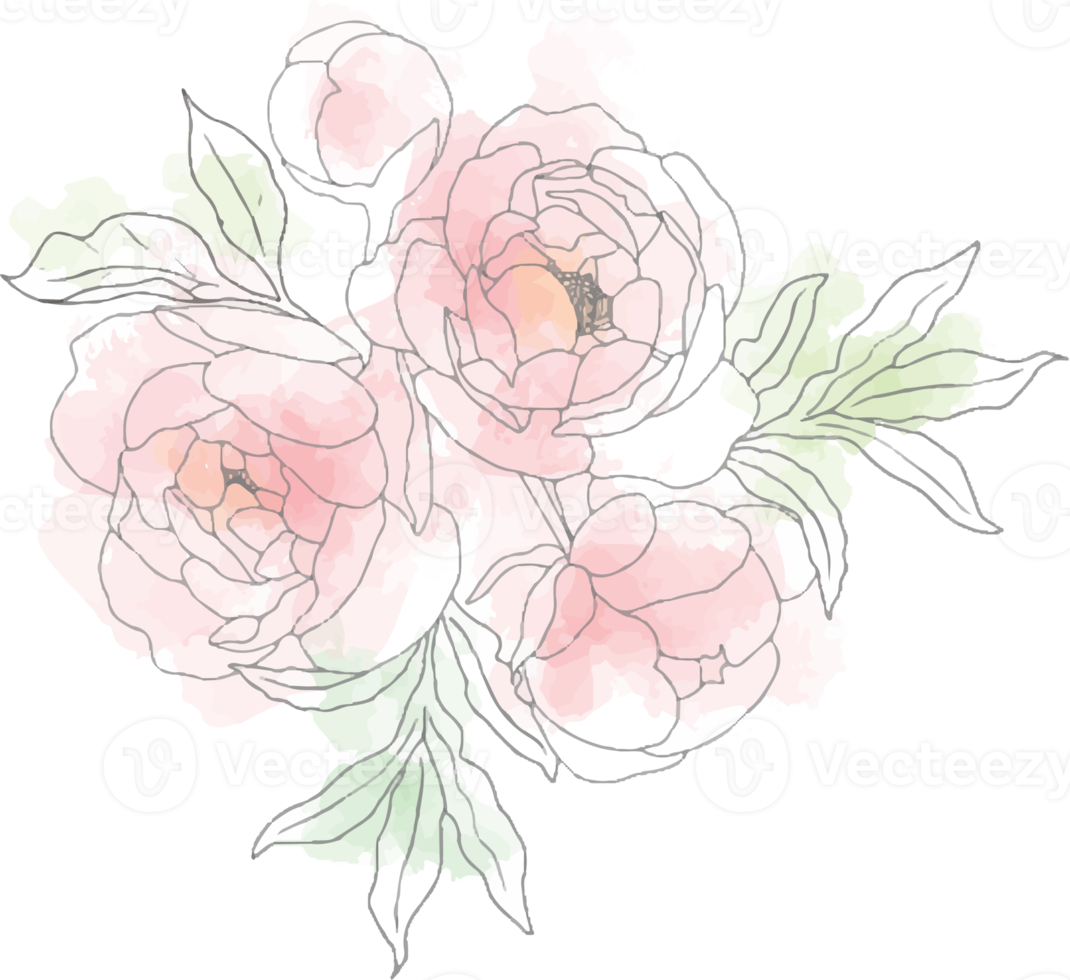 lös akvarell doodle linjekonst pion blomma bukett element png