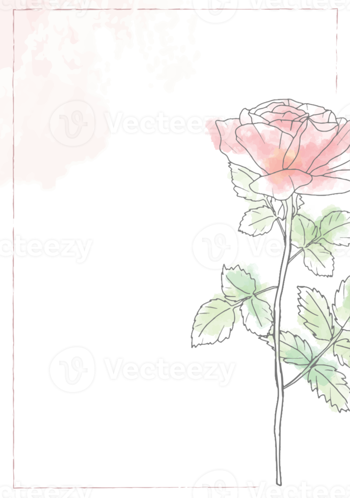 rosa lös akvarell linjekonst ros blomma bukett ram 5x7 inbjudningskort tvätt stänk bakgrund png