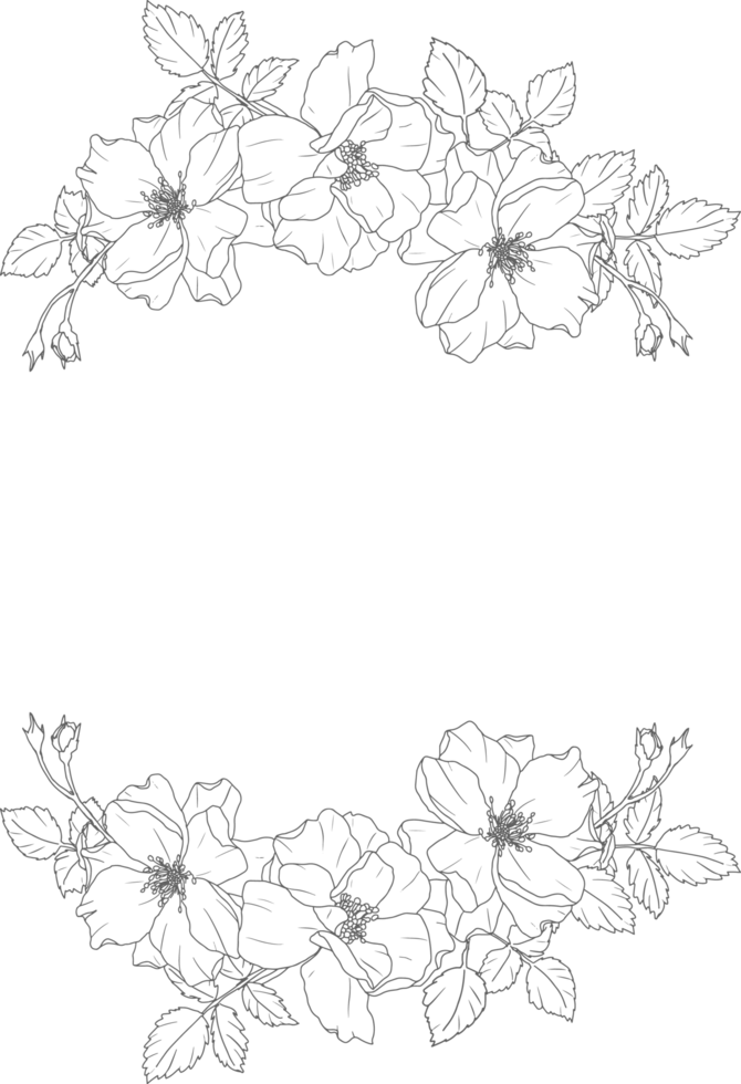 doodle line art ros blomma bukett krans ram png