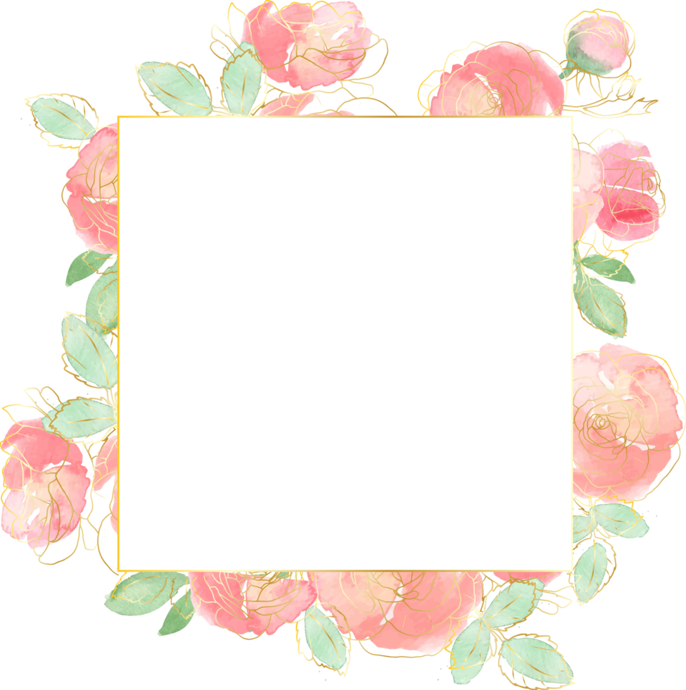 buquê de flores rosas soltas em aquarela com fundo de distintivo de banner squre de arte de linha dourada png