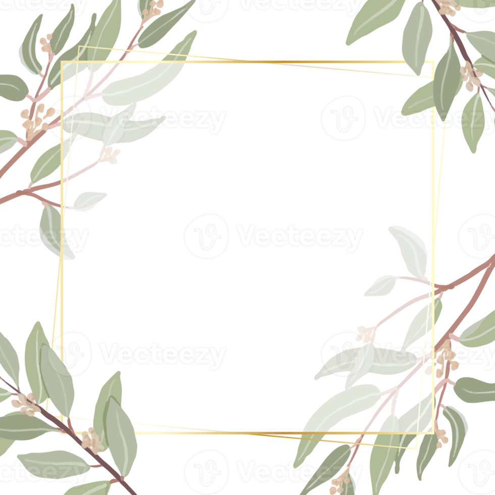 beautiful minimal seeded eucalyptus leaves square banner golden frame background for banner png