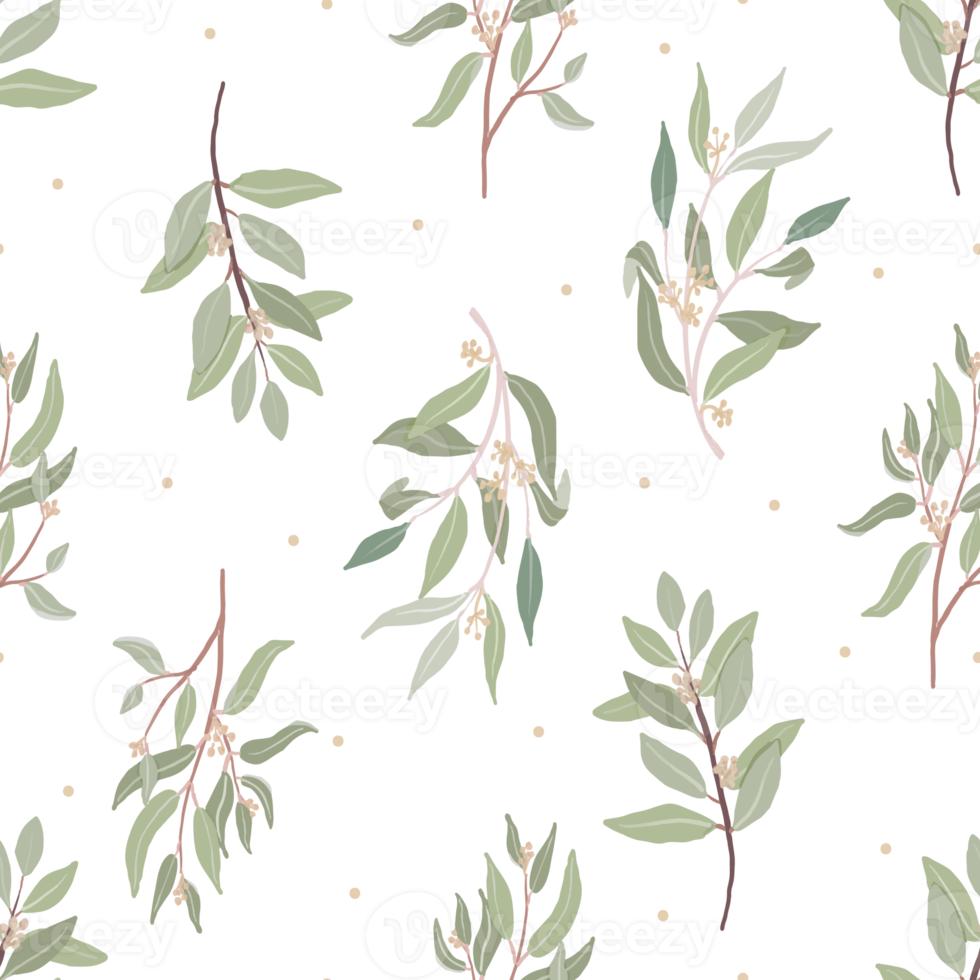 mooie minimale handgetekende organische gezaaide eucalyptusbladeren naadloos patroon png