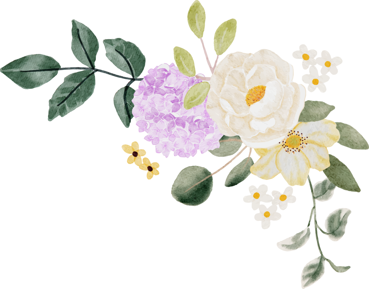 hortensia acuarela y ramo de flores silvestres png