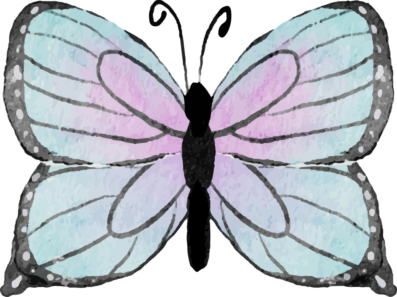 papillon coloré dessiné à la main aquarelle png