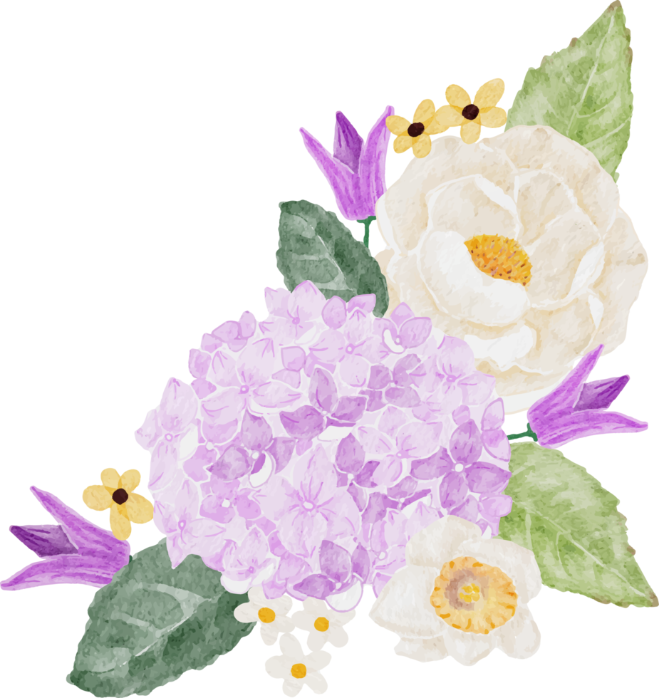 bouquet di fiori di camelia bianca dell'acquerello e ortensia viola png