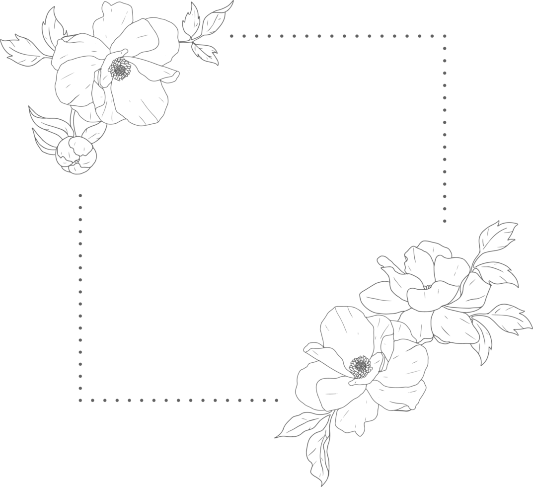 doodle line art peonia bouquet di fiori cornice elementi png