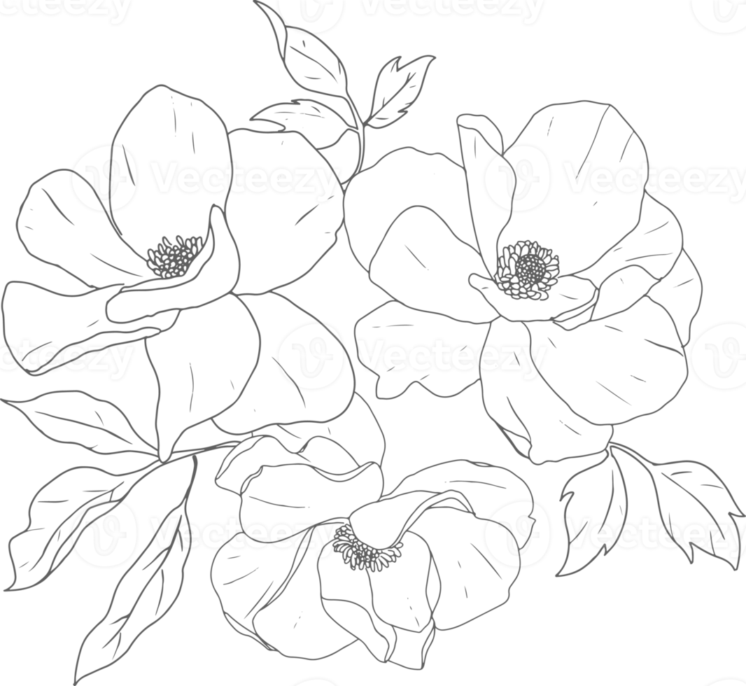 doodle line art peony flower bouquet elements png