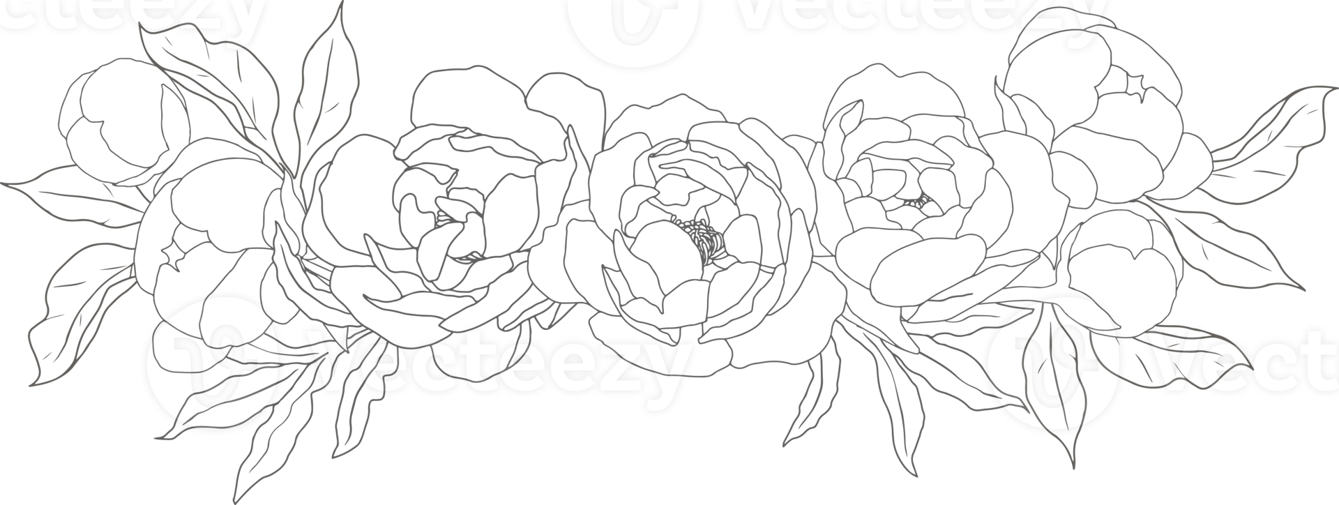 doodle linjekonst pion blomma bukett element png