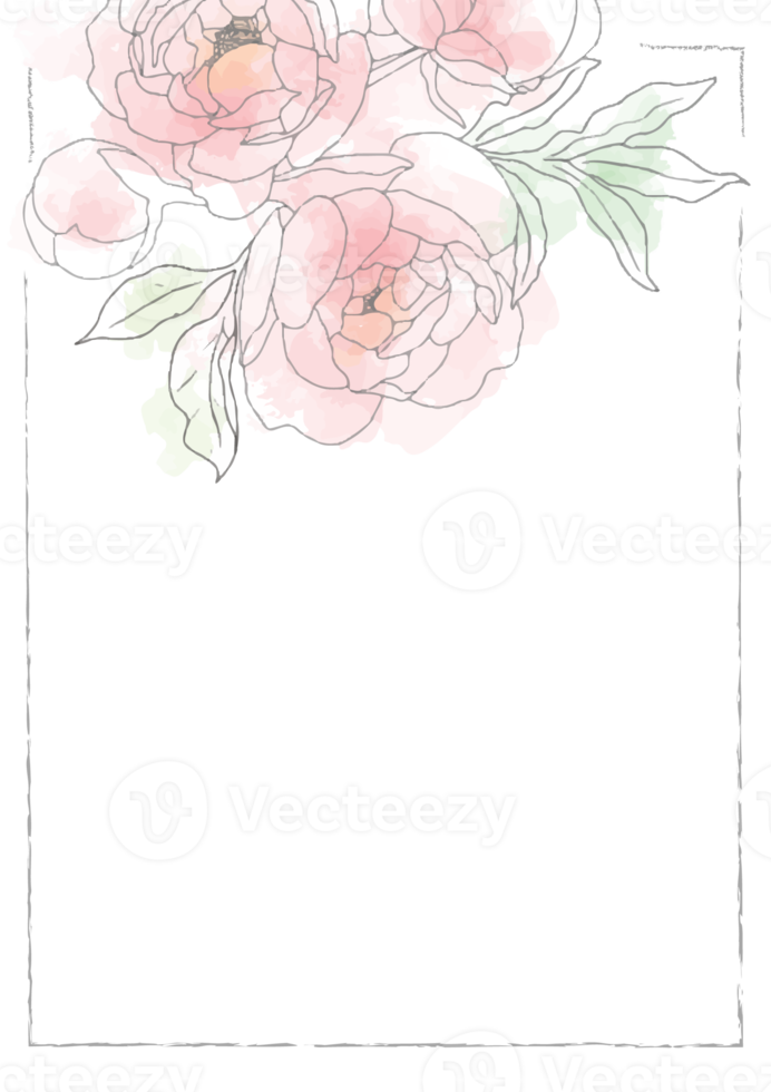 rose lâche aquarelle dessin au trait pivoine fleur bouquet cadre 5x7 carte d'invitation laver splash arrière-plan modèle collection png