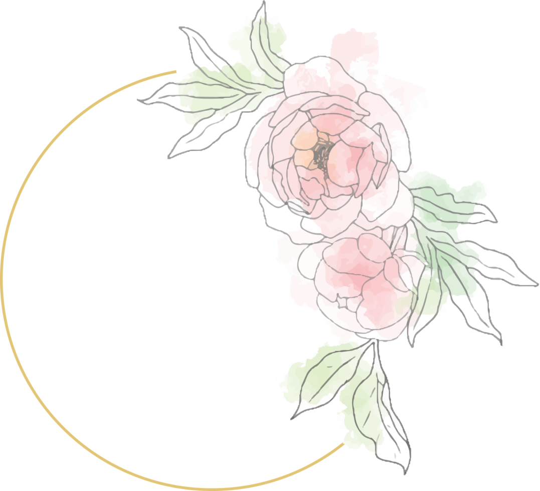 loose line art poeny flower bouquet wreath with golden frame png