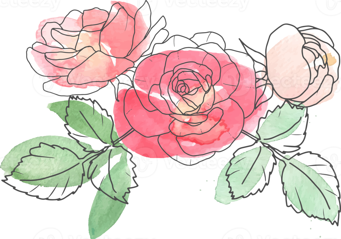 watercolor loose line art rose flower bouquet png