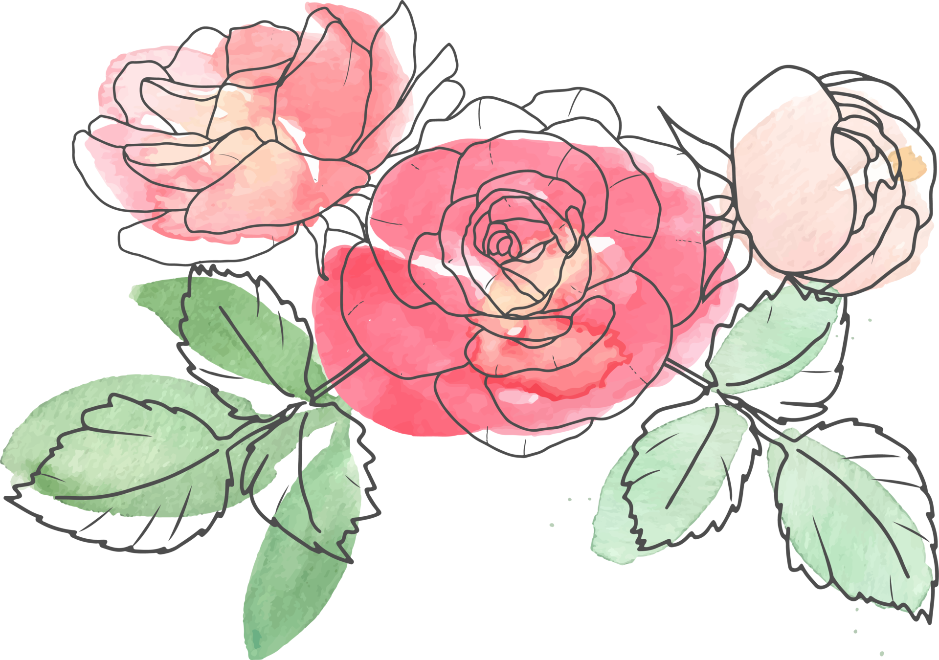 watercolor loose line art rose flower bouquet 9594228 PNG