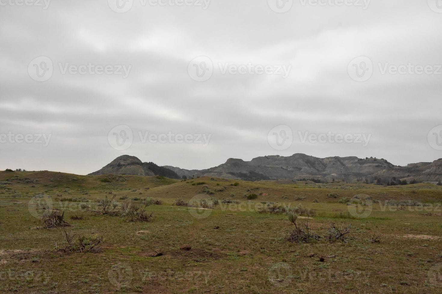 Rugged Landscape Background in the Midwest photo