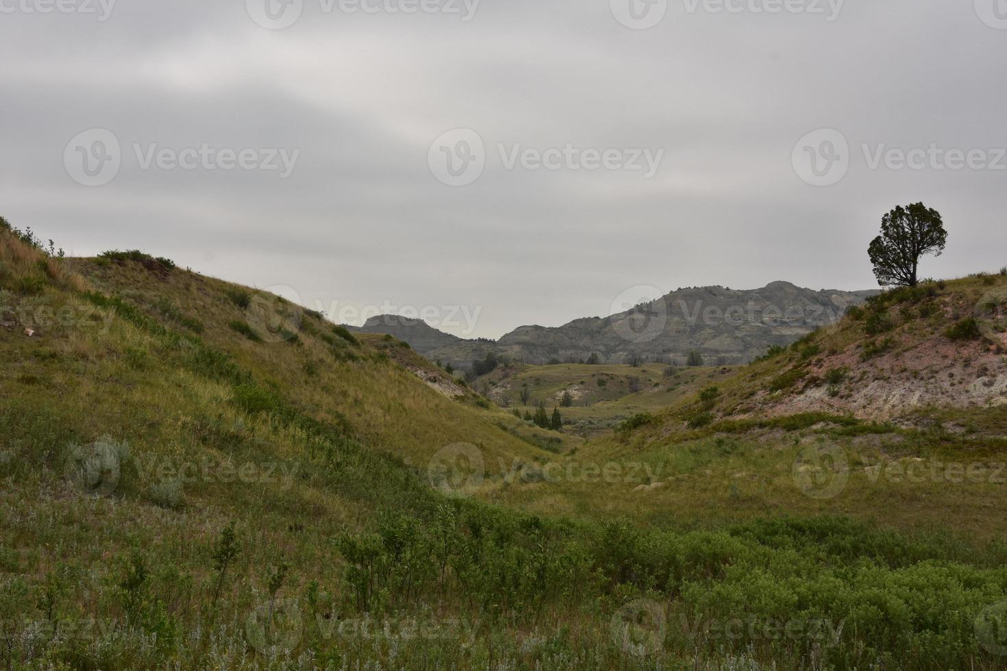 Hills Valleys and Canyons in the Badlands photo