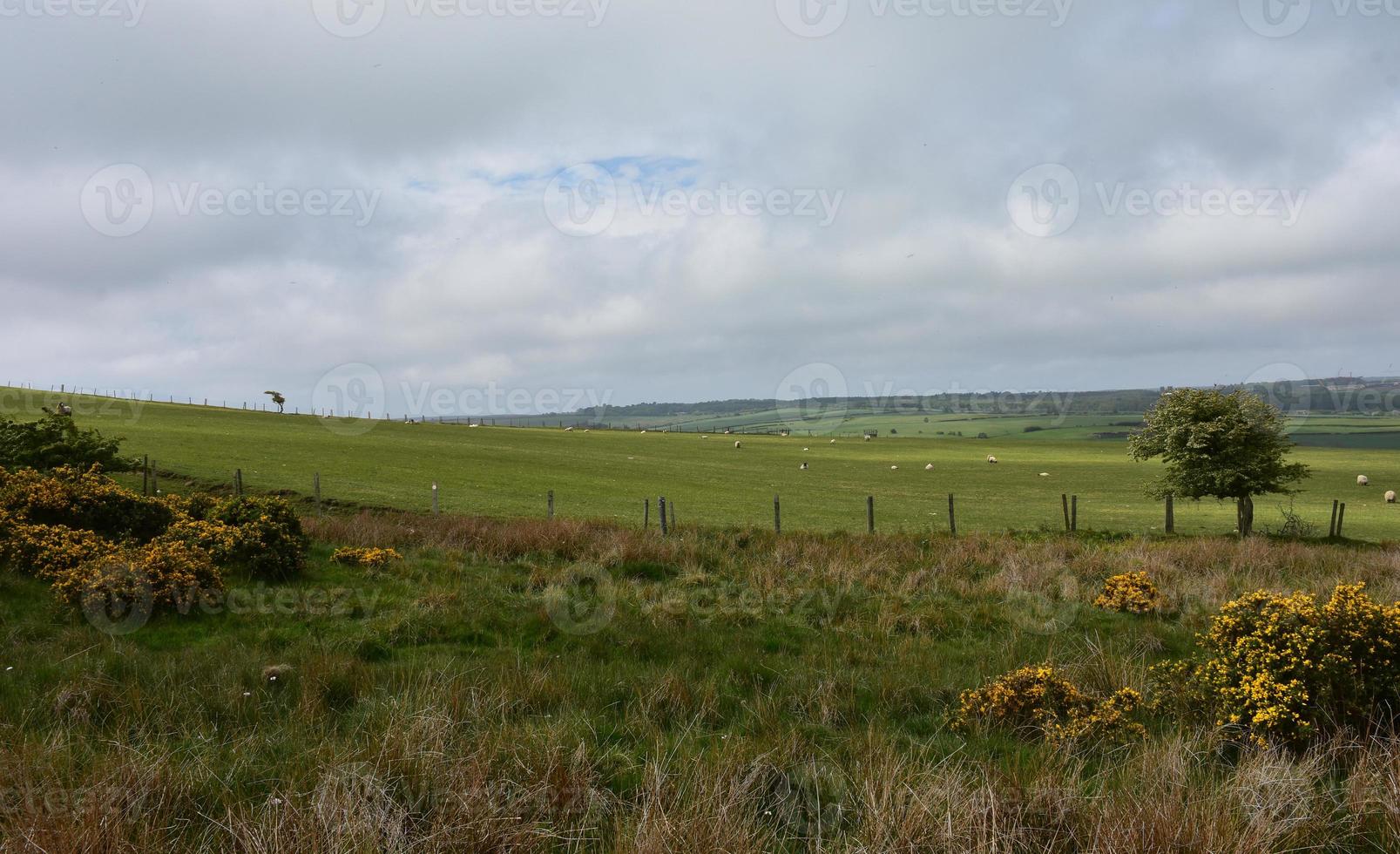 Stunning Landscape Along the Coast to Coast Route photo