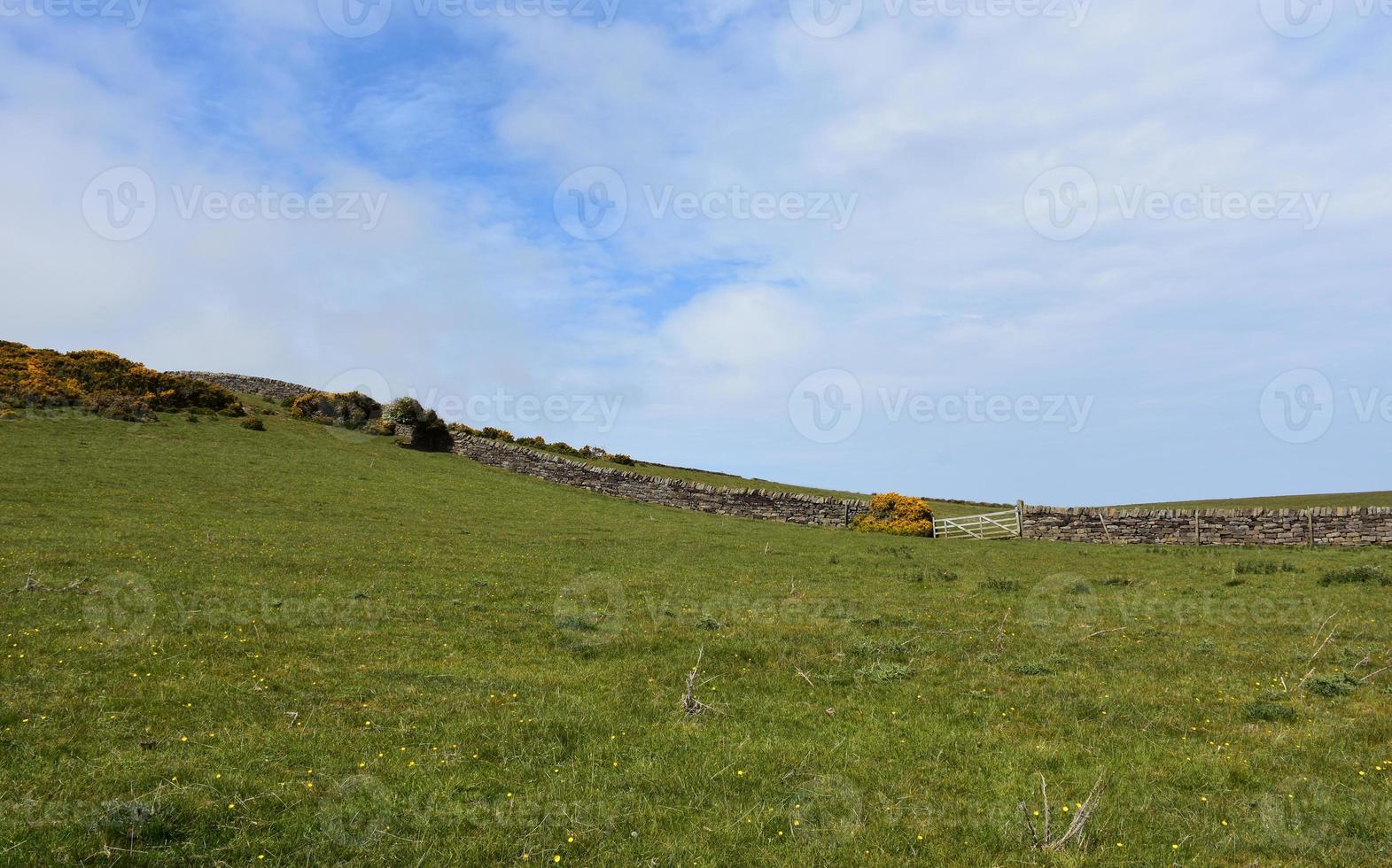 Stonewall as a Boundry Marker Across a Field in Northern England photo