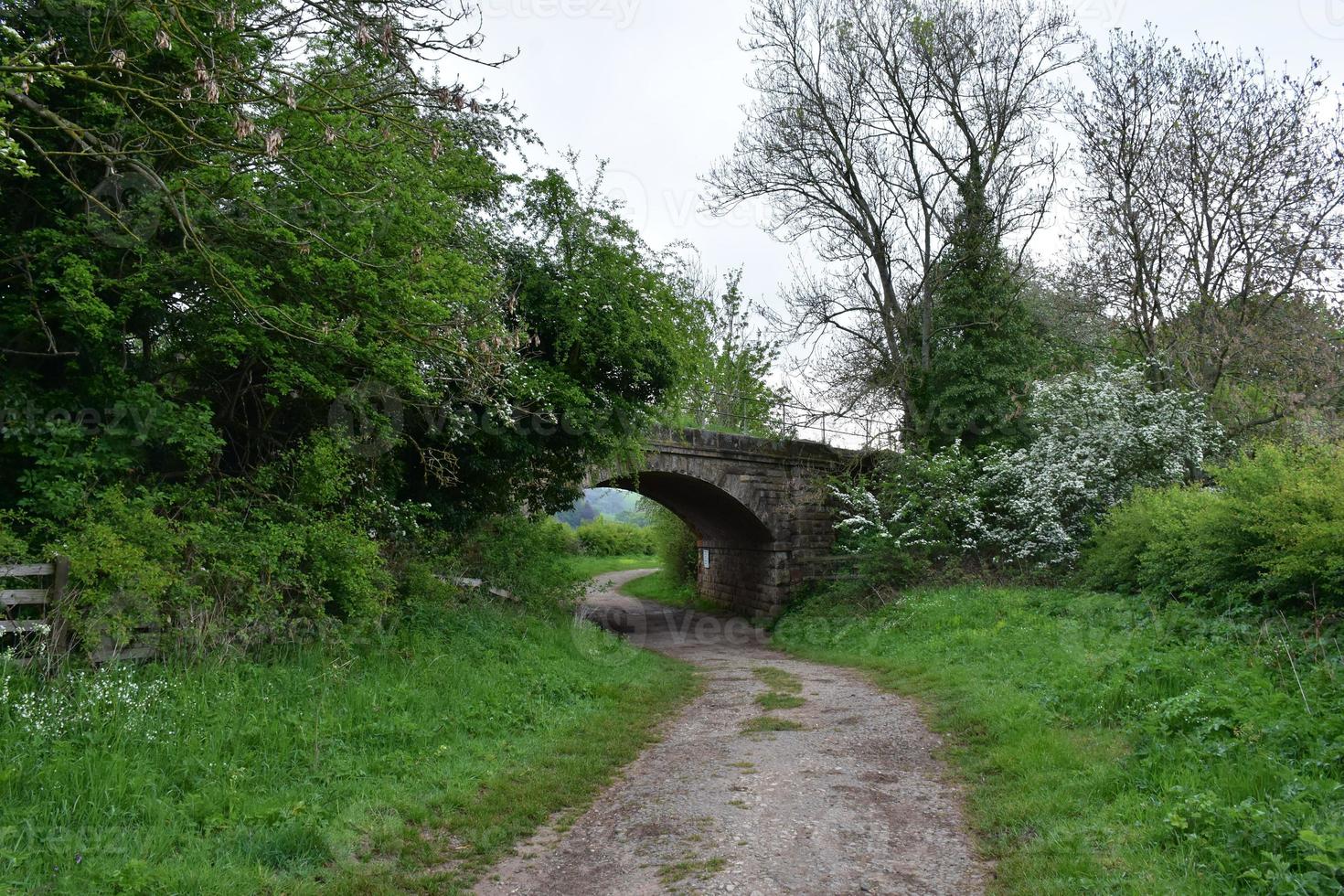Dirt Walking Trail Passing Underneath a Bridge photo