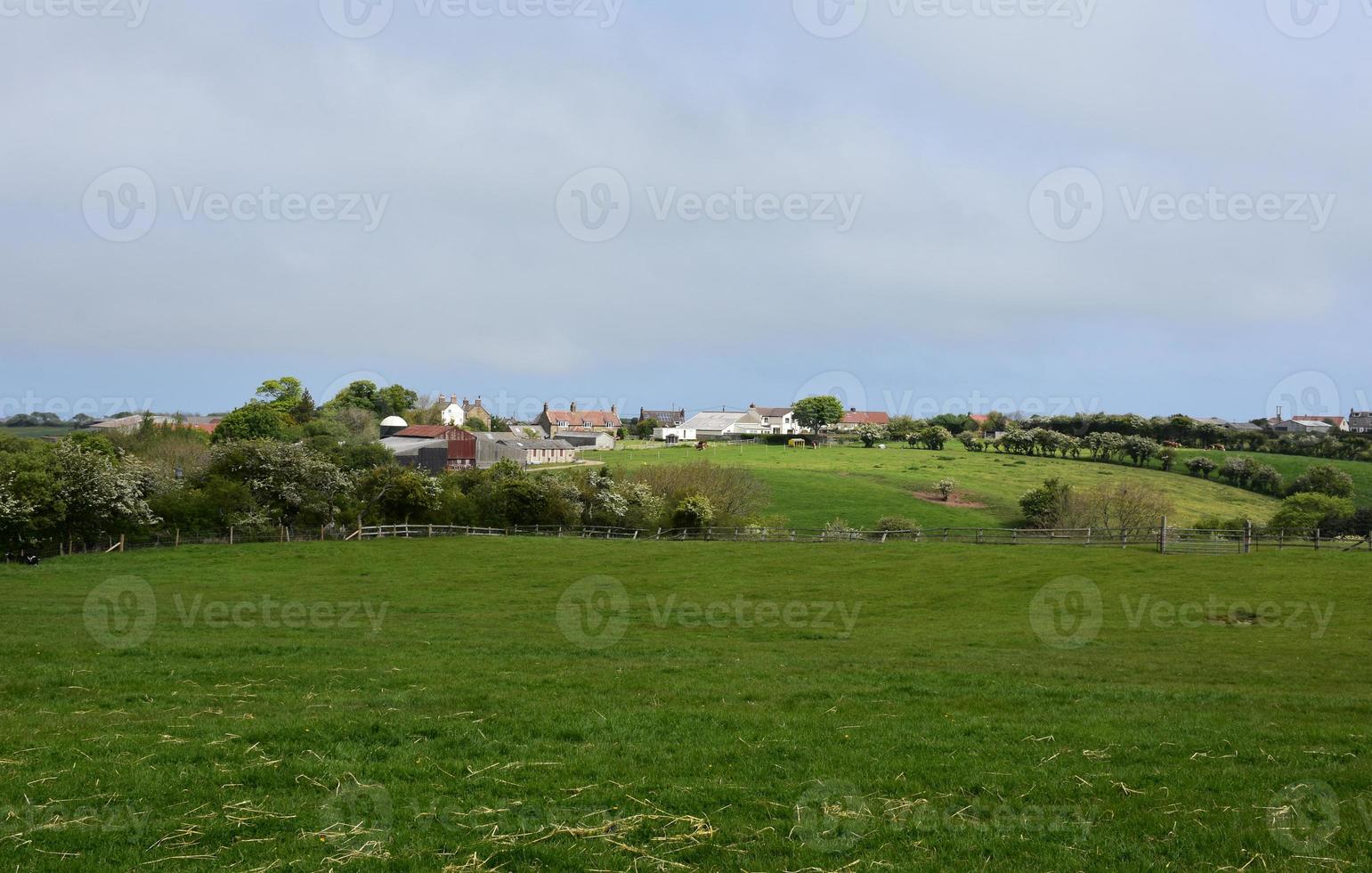 Remote Farmland in the Rural Countryside of Northern England photo