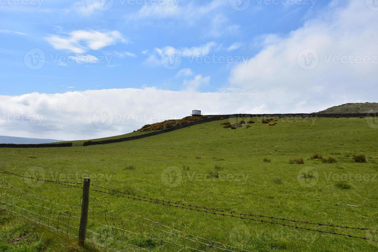 Farmland with a Grass Pasture and Tower in the Distance photo