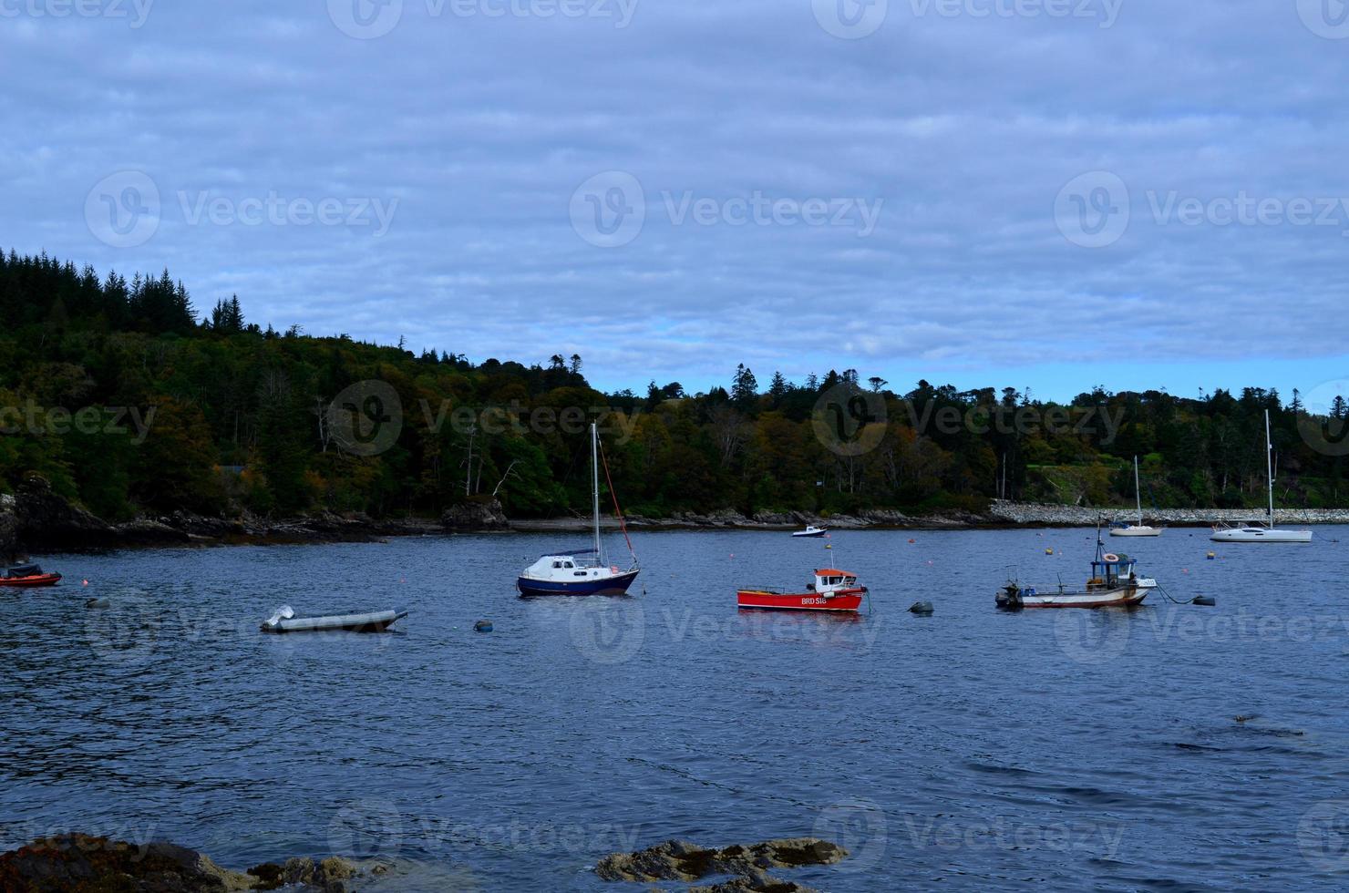 Pretty scenic views on the coast with boats photo