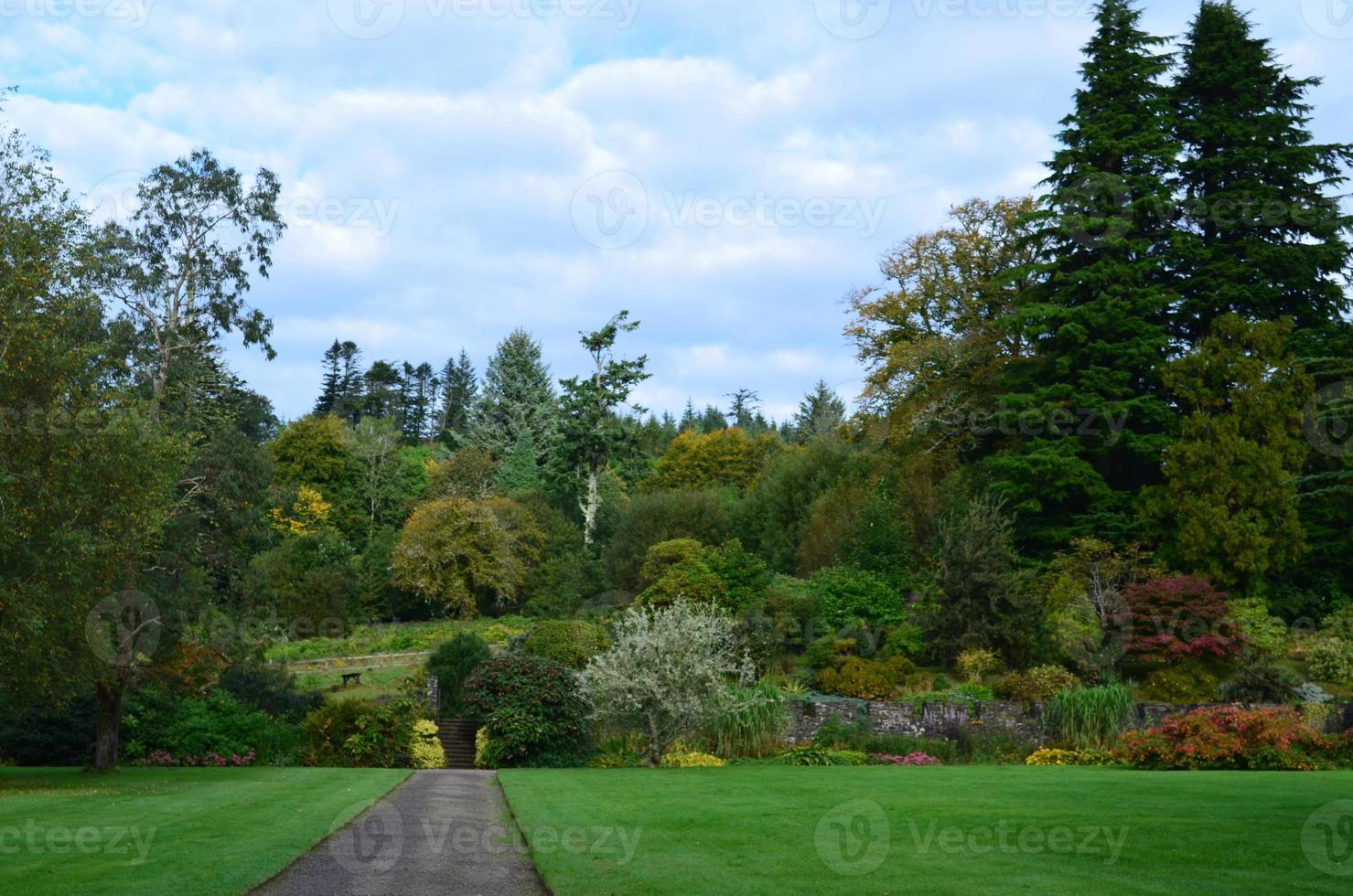 hermoso jardín en armadale con exuberante vegetación foto