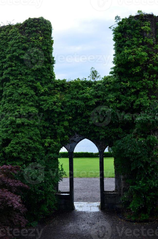 Stunning view of an opening with vines growning photo