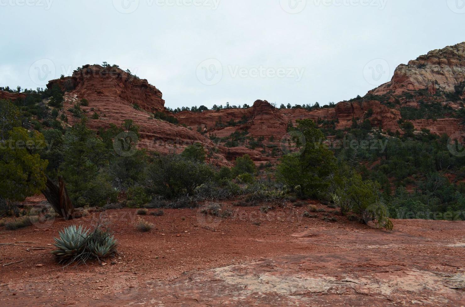 Stunningly Scenic Landscape with Red Rock in Sedona photo