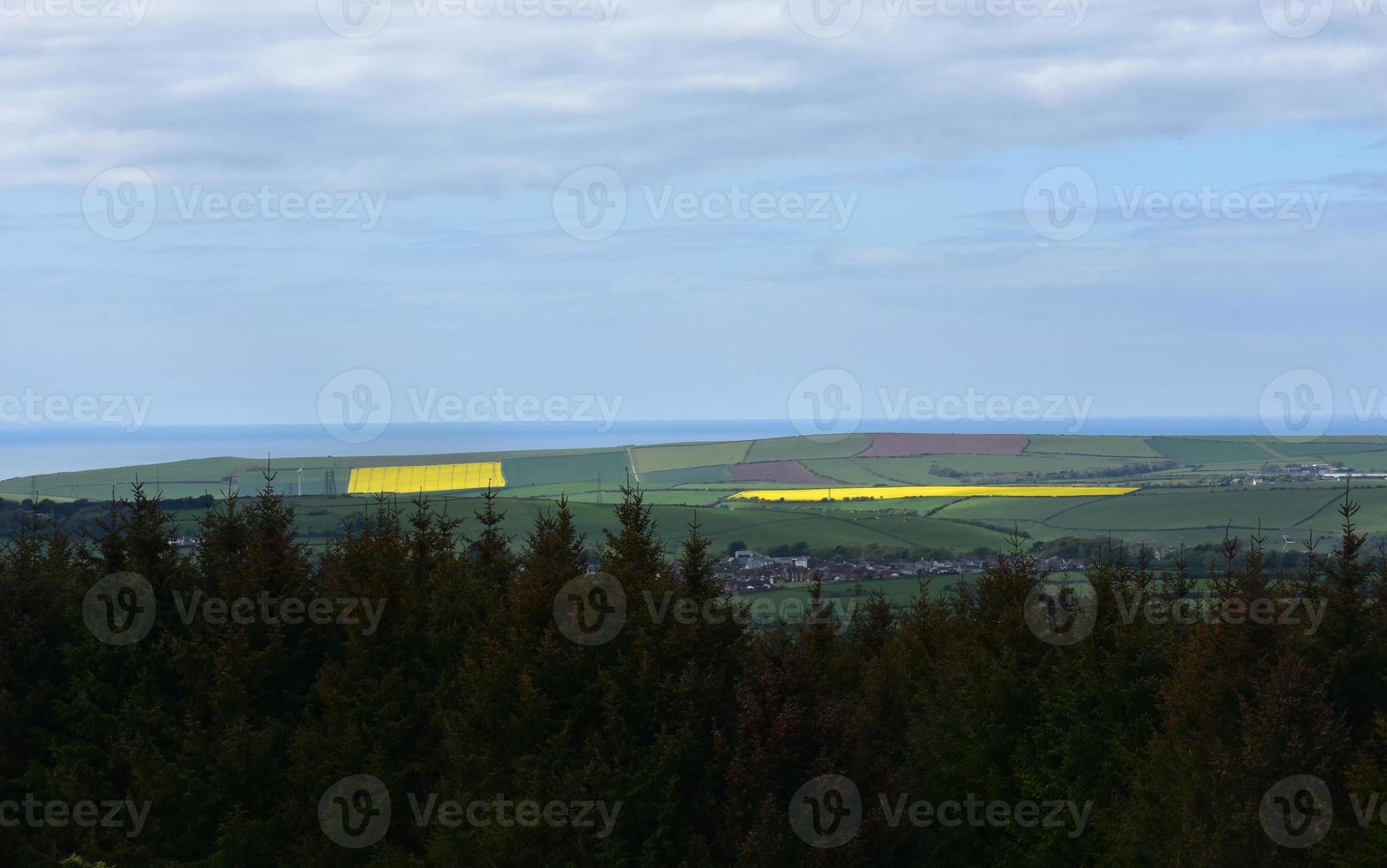 Layered Colorful Fields with Rape Seed and Agriculture photo