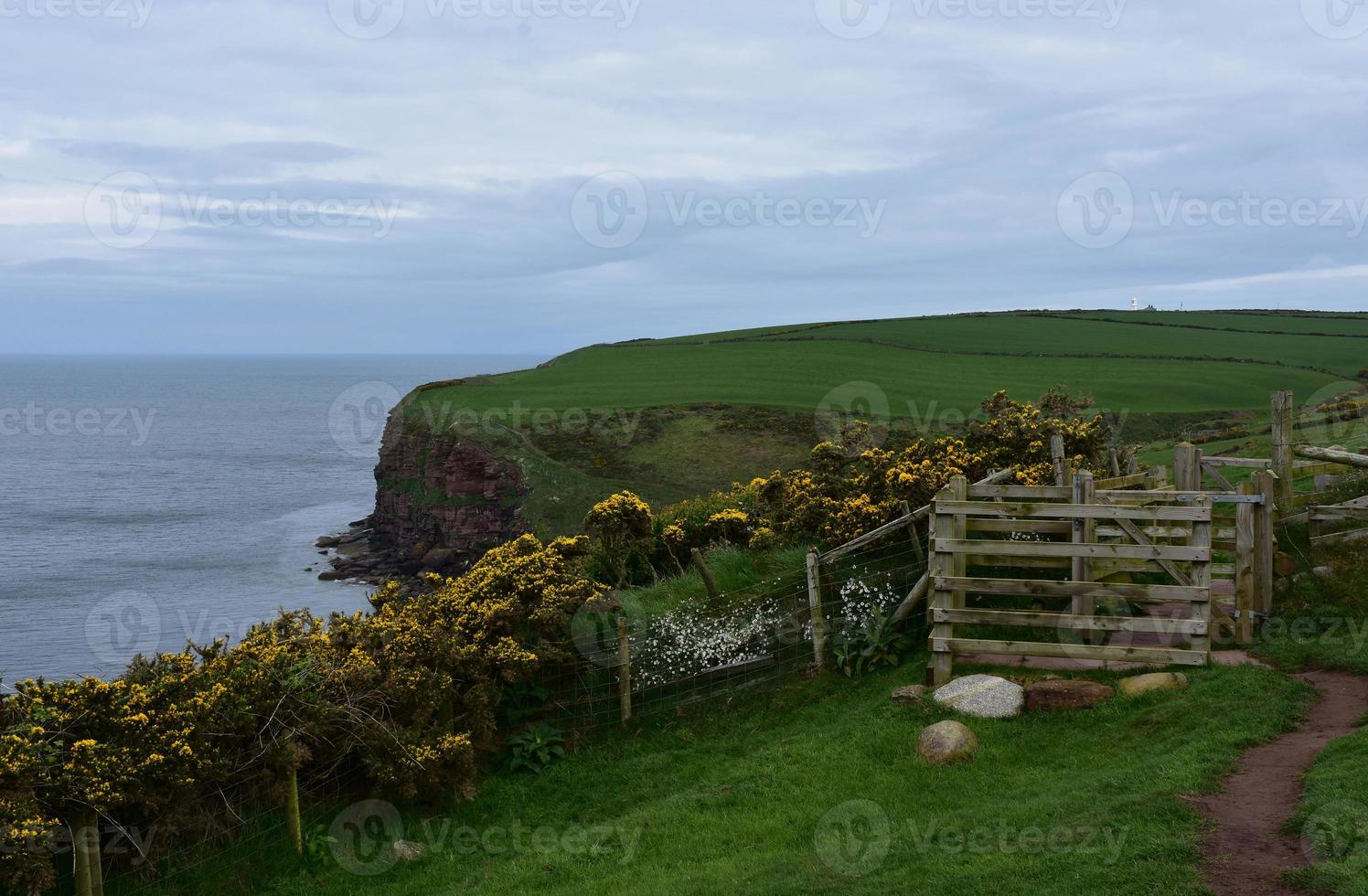 Scenic Look at the Coastal Walk Along the Sea Cliffs of St Bees photo