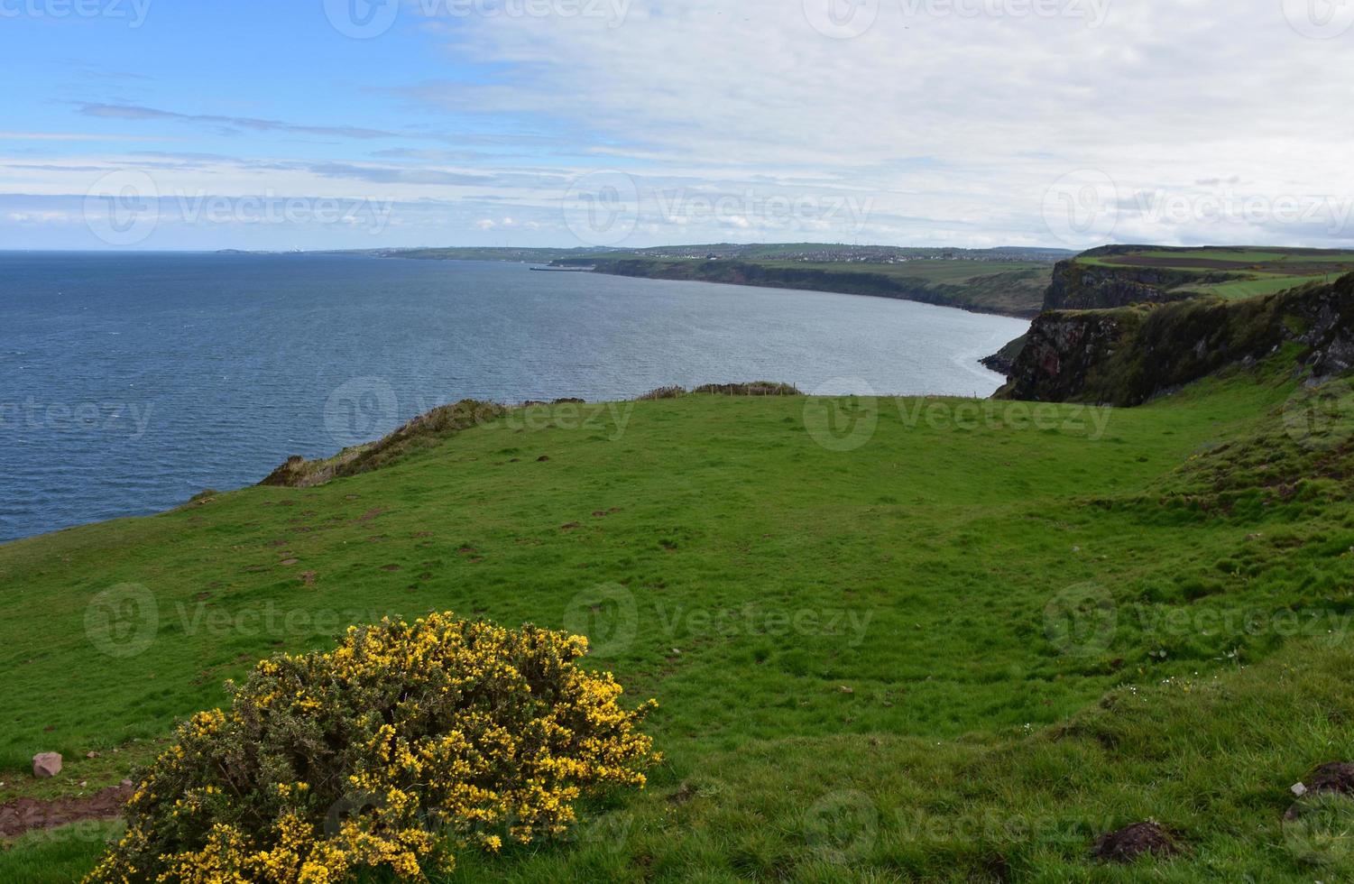 A Look Along the Coast and Shoreline of St Bees photo