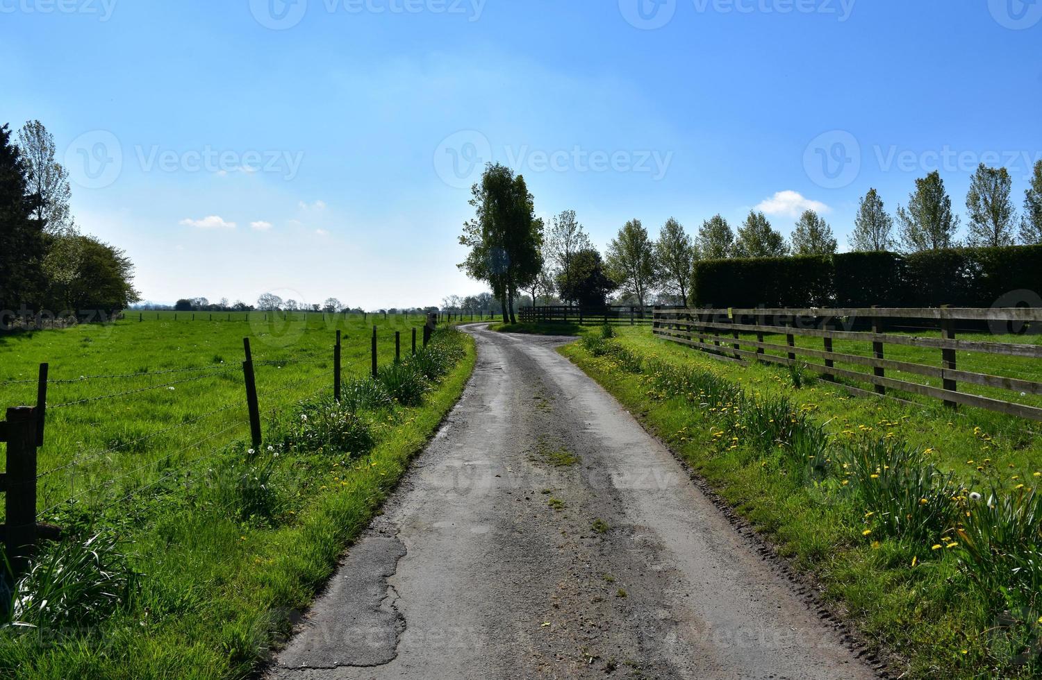 Winding Drive Through Farm Land in the Spring photo