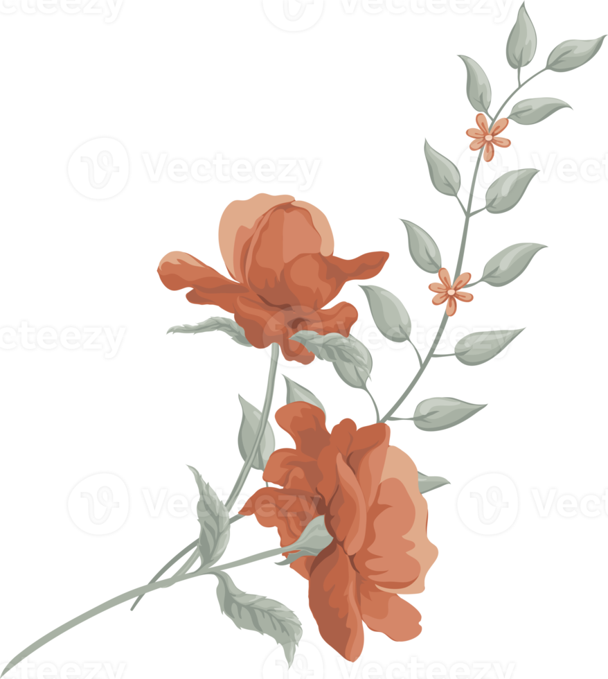 Rose Flower and botanical leaf digital painted png