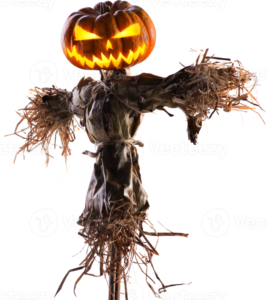 halloween pumpkin scarecrow png