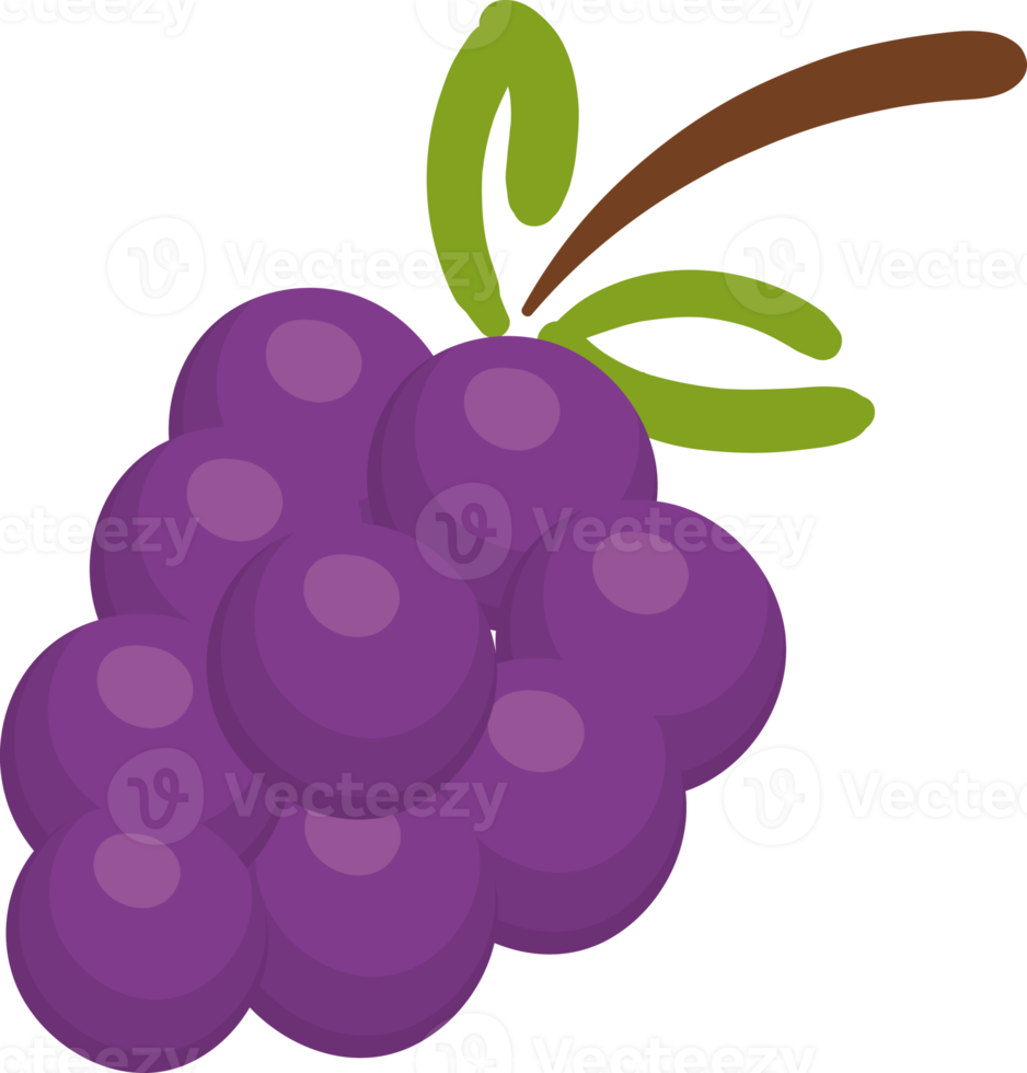 dibujos animados de ilustración de fruta de uva png
