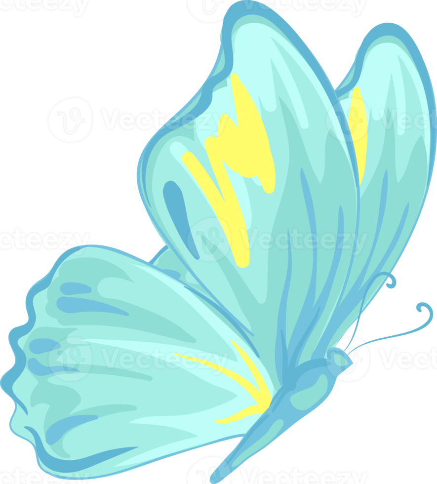 illustration Beautiful butterfly paint png