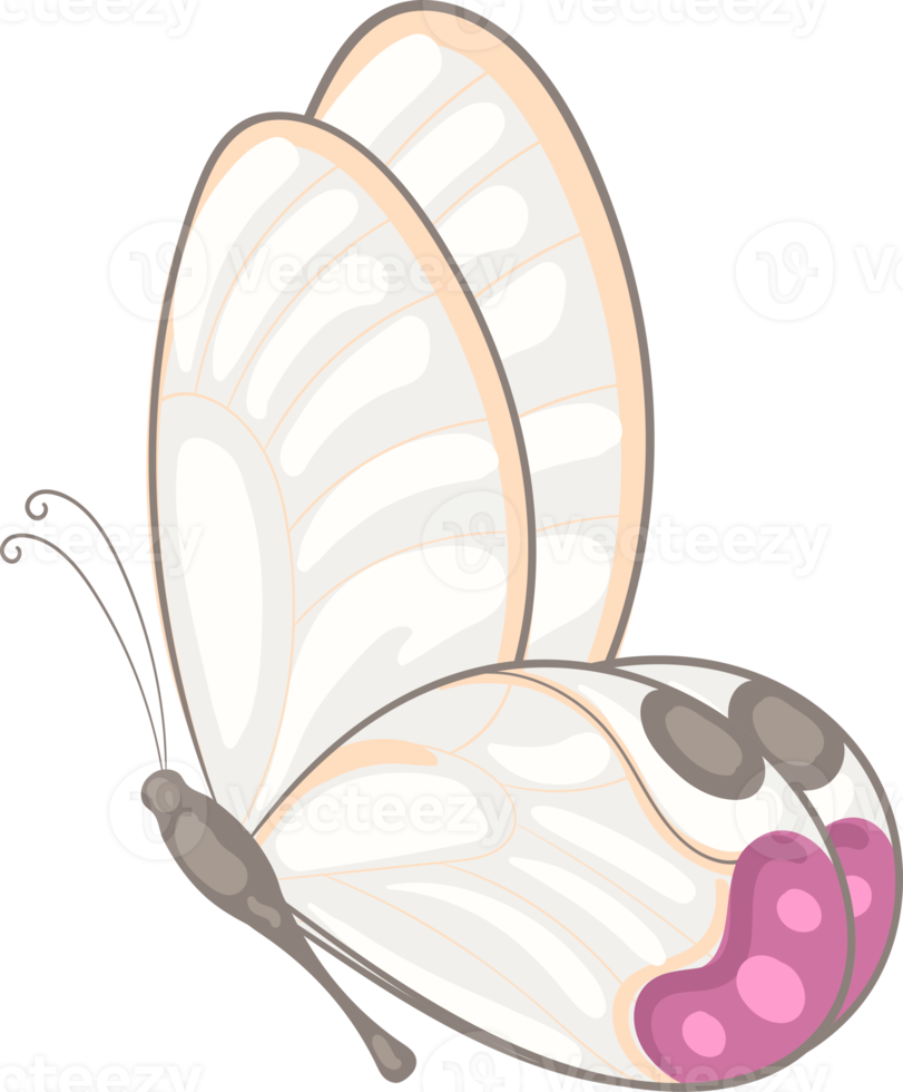 illustration Beautiful butterfly paint png