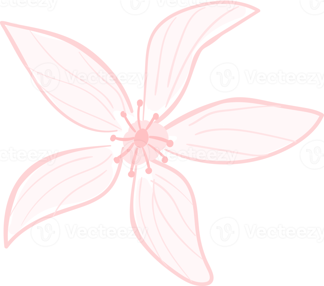 schöne Blumen- und botanische Blattmuster der Illustration für Liebeshochzeits-Valentinstag oder Anordnungseinladungsdesign-Grußkarte png