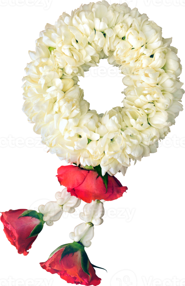 jasmine garland symbol of Mothers day in thailand on white background with clipping path png