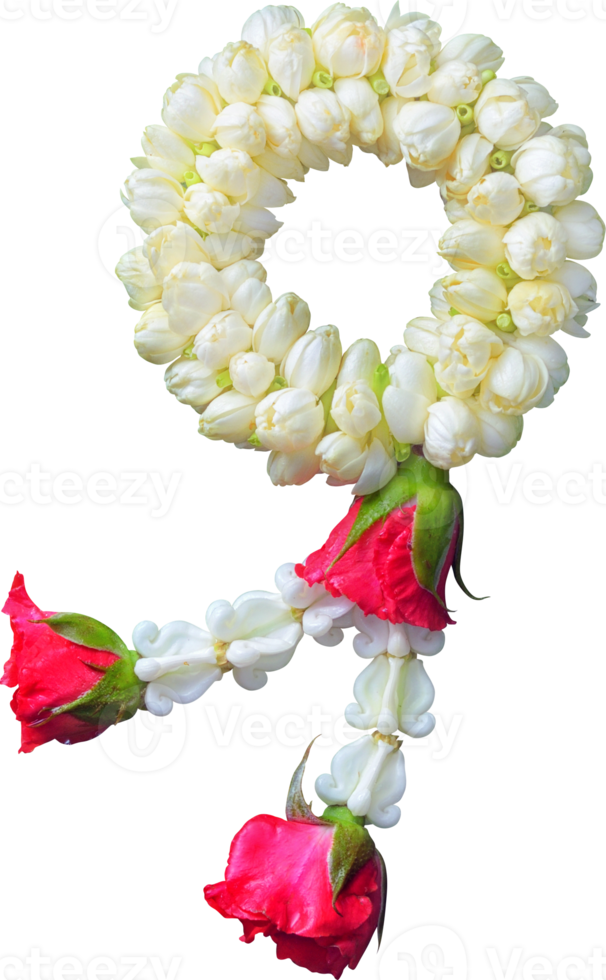 jasminkrans symbol för mors dag i thailand på vit bakgrund med urklippsbana png