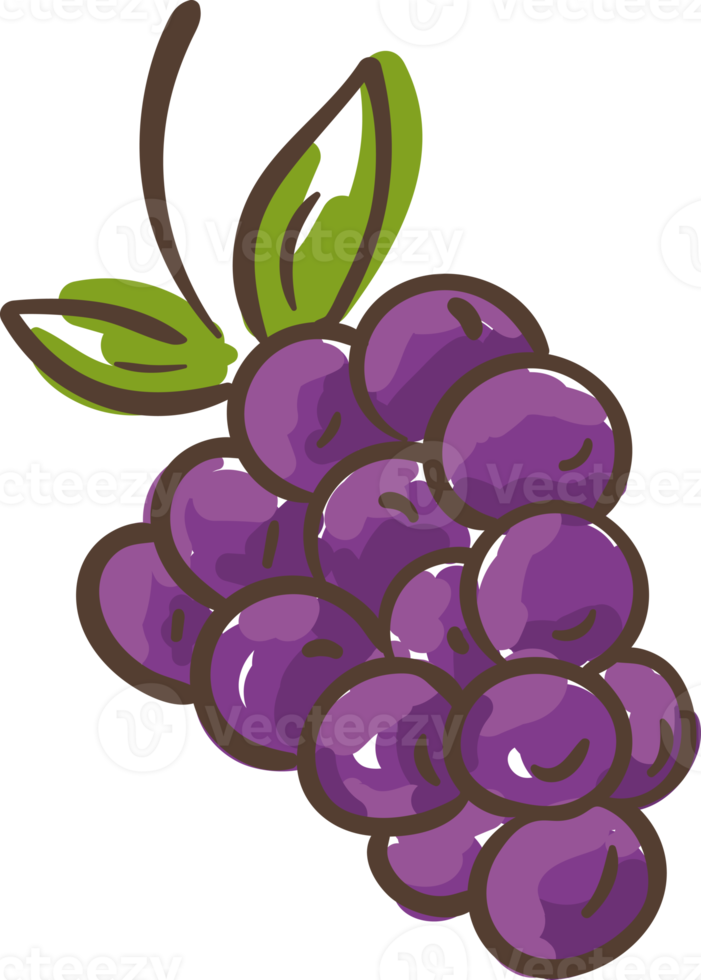 dibujos animados de ilustración de fruta de uva png